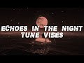 Tune VIbes - Echoes in the Night (Lyrics)