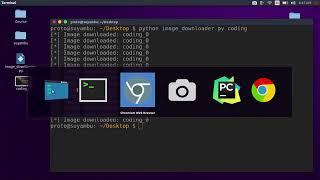 24 Solving Image Downloader Challenge Python