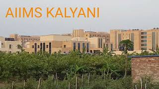 ❤️AIIMS KALYANI ❤️দূরের গ্রাম থেকে কল্যাণী AIIMS এর দৃশ্য।