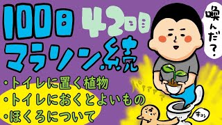 トイレに置くと良い物•植物/100日マラソン続〜42日目〜