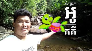 Okorki Waterfall Resort | រមនីយដ្ឋានធម្មជាតិទឹកធ្លាក់ អូគគី