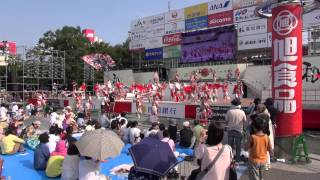 高知よさこい）松山よさこい風舞人_高知全国大会20140812_中央公園