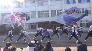 秋大祭2018_紅翔連(1回目)