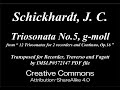 Schickhardt, J. C. _ Triosonata Op.16 No.5 g-moll [Rec, Trv, Bsn]