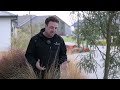 New Zealand Native Urban Garden | The Plant Store