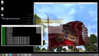GameGuard API Hook Demo