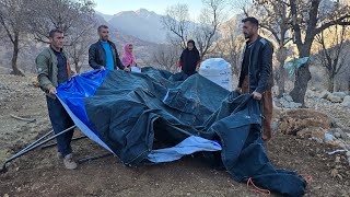 Hard life in the heart of nature  Abolfazl family's efforts to install a tent 🏕️