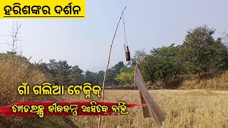 ହରିଶଙ୍କର ମନ୍ଦିର 2023 GANDHAMARDAN HILLS IN BALANGIR