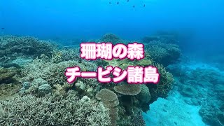 珊瑚礁！チービシ諸島・ナガンヌ南