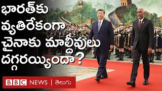 India Maldives Controversy: భారత్‌కి వ్యతిరేకంగా మాల్దీవుల ప్రభుత్వం చైనాకు దగ్గరవుతోందా | BBCTelugu