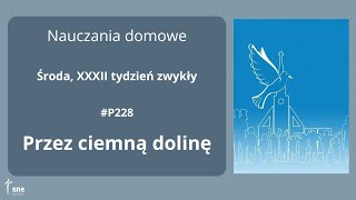 #NauczaniaDomowe - #P228 - Przez ciemną dolinę - #ArturSepioło – 13.11.2024