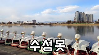 [4K SEOUL] 한겨울 꽁꽁 언 대구 수성못 워킹투어