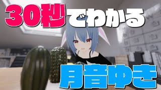 【自己紹介】30秒でわかる！月音ゆき #VPL #Vプロ #VTuber