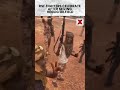 Sudan’s RSF Captures Key Heglig Oil Facility Amid Escalating Conflict | NewsX World