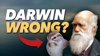 The Biggest Misunderstanding About Evolution