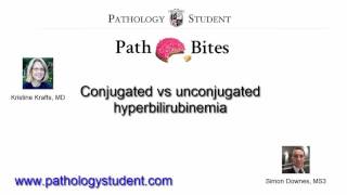 Path Bites: Conjugated vs unconjugated hyperbilirubinemia