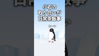 suicaのペンギンの秘密【アデリーペンギン】