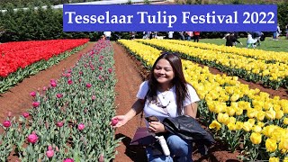 Tesselaar Tulip Festival 2022