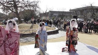 （ワイプ画面なし）京都・岡崎公園「平安蚤の市」会場内特設ステージ　舞妓さんの舞納め（先斗町　秀芙美さん、秀咲季さん、秀多恵さん）　1曲目「わしが在所」　Maiko Dance, Kyoto