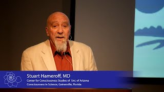 Consciousness in the Universe (Stuart Hameroff, MD)