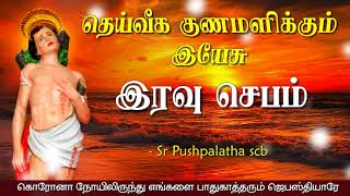 16.05.2021-Night prayer - இரவு ஜெபம் - தெய்வீக குணமளிக்கும் இயேசு| TAMIL CATHOLIC ONLINE TV| DAY-132