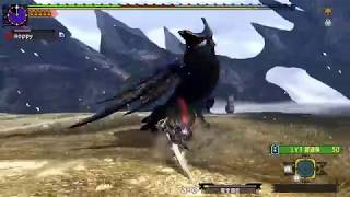 [MHXXNS]超特殊許可 朧隠狩猟依頼 ブレイヴヘビィ ソロ 5針