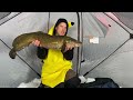 **two ridiculous bananas** catching monster burbot