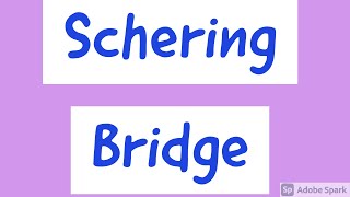 #Schering#Bridge#DielectricLoss#Lossangle#Losstangent High Voltage Schering Bridge _NDT method_HVE