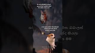 එයත් ලස්සන නිසා බබාලත් ලස්සන වෙයි 🌚🫶 #viral #tiktok #foryou #slshorts #youtube #lovestatus #shorts