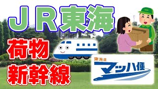 【新事業】東海道新幹線による高速荷物輸送『東海道マッハ便』をJR東海が発表しました！