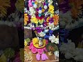 adbhuta sringar darshans ❤️ janmashtami special 🎉 krishna ytshorts viralvideo fypシ゚viral shorts