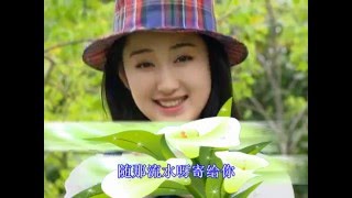 杨钰莹 - 几度花落时(Official Video)