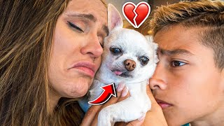 WE REALLY MISS OUR DOG.. 💔 | The Royalty Family