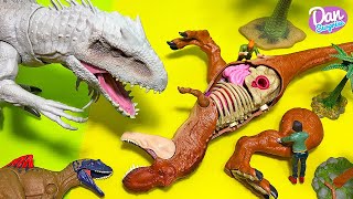 Dinosaurs Rescue Misson - Jurassic World