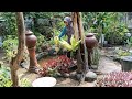 Pupuk Andalan Erna Garden (Part 2)