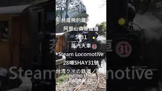 台湾クマの鉄道ノート台灣熊鐵道筆記-阿里山森林鐵道28噸SHAY31號蒸汽火車(SL31) Taiwan Alishan Railway Steam Locomotive