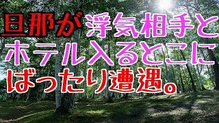 【修羅場】旦那が浮気相手とホテル入るとこにばったり遭遇。私「今日は日帰り出張じゃなかったかなー？ちょっと其処のファミレス行こうか」