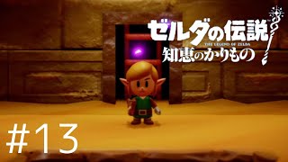 ゼルダが主人公の物語　ゼルダの伝説　知恵のかりもの　＃13