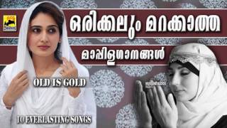ഒരിക്കലും മറക്കാത്ത മാപ്പിളഗാനങ്ങൾ | Old Is Gold Malayalam Mappila Songs | Pazhaya Mappila Pattukal