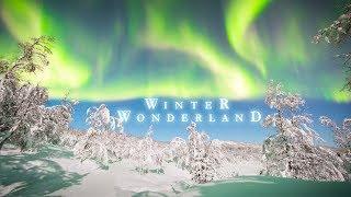 WINTER WONDERLAND - Senja NORWAY - 4K
