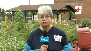 Allard Street Community Garden