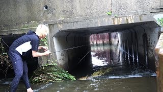 魚が集まるトンネル。大雨の用水路で釣りをしたら大型魚が連発した！！！