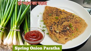 Spring onion paratha | Kanda paat paratha recipe | hare pyaz ka paratha | green onion recipe