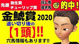 金鯱賞2020 追い切り後の【1頭】!! 穴馬情報もあります!!