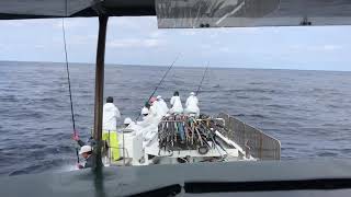 佐賀八栄丸 2020年7月8日 男女群島沖 その5  かつお一本釣りpole-and-line fishing for bonito in Japan