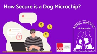 How Secure is a Dog Microchip?