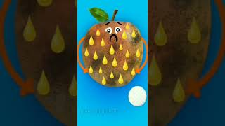 Apple Surgery Birth Baby | #fruitsurgery #shortsvideo #ytshorts #cute #doodles #animation #shorts