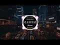 Zkaaai - 迟来的情话 (DJ抖音 Remix) 【抖音热门歌曲】『如果在十八，我没能送你花，那到二十八，我请你喝酒吧。』抖音 Hot Tiktok Douyin