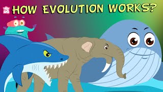 What Is Evolution? - Compilation | The Dr. Binocs Show | Non Stop Episodes | PEEKABOO KIDZ