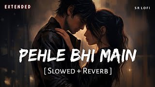 Pehle Bhi Main Extended Film Version (Slowed + Reverb) | Vishal Mishra | Animal | SR Lofi